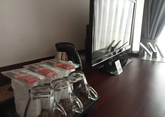 Hotel Collection O The Airport Link